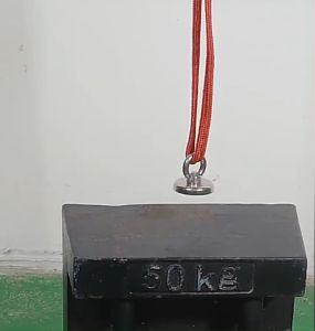 Super Strong Fish magnet แม่เหล็กแรงดูดสูง Neodymium Recovery แม่เหล็กเก็บของ แม่เหล็กแรงสูง แม่เหล็ก แม่เหล็กเก็บของแรงดูดสูง แม่เหล็กตกปลาแรงสูง