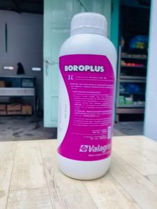 Boron BOROPLUS isi kemasan 1 liter dari Valagro S