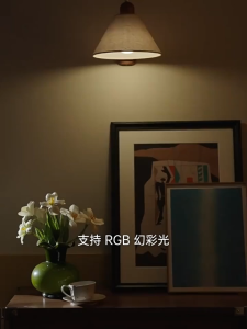 MeeGoo LED Bulb WiFi+Bluetooth Smart Light Ambiance Remote/Voice/App Control for Amazon Alexa Google