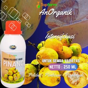 Pupuk Pinang Agar Cepat Berbuah / Pupuk Buah Untuk Pinang / Bubuk Buah Pinang Tua / Pupuk Khusus Buah Pinang / Pupuk Pinang Pelebat Buah