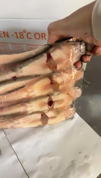IKAN LELE 1KG SUDAH BERAT BERSIH HANYA 30rb/ikan tawar/lele ...