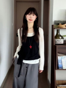 Áo Thun Dài Tay Màu Đen Cổ Tròn Phong Cách Hàn Quốc Mùa Thu Mới Cho Nữ Áo Lót Hai Mảnh Áo Chui Đầu Áo Thun Thường Ngày