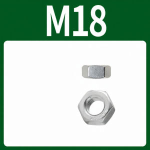 BAIRUITE | Stainless Steel Nut Various Thread Specifications