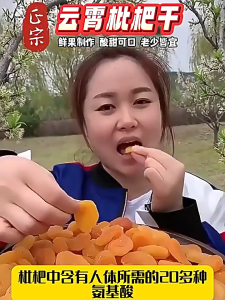 竹盐枇杷干即食健康零食批发/ Bulk loquat preserves/ Origina Dried loquat preserves seedless loquat dried XWFR