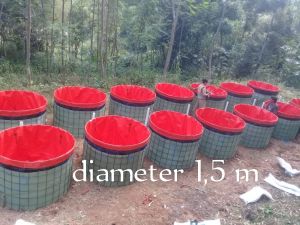 kolam terpal bulat fulset  semikaret Orchid diameter 15m