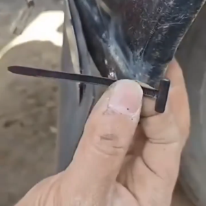 Heavy Duty Self-Locking Nylon Cable Ties - Durable Universal Easy to Use for Cable Management