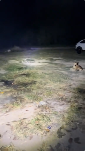 【COD+จัดส่งฟรี】DTtool สปอตไลท์ 8นิ้ว ไฟ LED สำหรับ MAKITA 21V แบตเตอรี่ แบบพกพา LED Spotlight ไร้สายกลางแจ้งทำงานตกปลาฉุกเฉินมือถือ 1500LM ความสว่างพลังงานสูง สำหรับใช้งานร่วมกับ แบตเตอรี่ Makita กลุ่ม