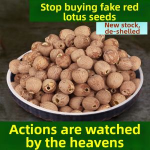 Dried Organic Red Skin Large Lotus Seeds 500g