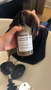 Loreal Serie Expert Absolut Repair Molecular Shampoo 300ml / 1500ml (for Damage Hair)