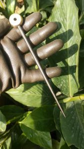 Cây lấy dấu hàng Nhật bãi