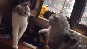 Corrugated Paper DIY Cat Room Double-layer Staircase Cat House Villa Cat Scratch Board Claw Scratching Toy