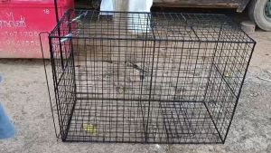 กรงดักสูงสำหรับกรงดักหมา กรงดักสัคว์อเนกประสงค์สลักแบบเหยียบติดและล็อกใช้งานง่าย