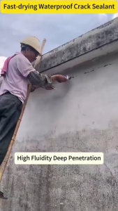 【SG Stock】Gam Pencegah Bocor Cepat Kering | Waterproof Sealant For Roof/Concrete/Wall Crack