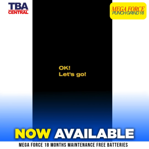 MEGA FORCE PUNCH GRID MAINTENANCE FREE BATTERY 18 MONTHS WARRANTY