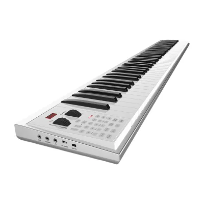 Lovebird | keyboard piano Weighted Keys Portable Electronic Piano