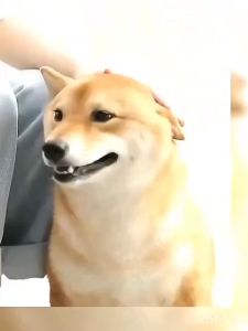 ที่ครอบปากแบบตะกร้อ LKD032