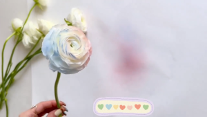 Flower Color Spray Paint Quick Dry for Rose Lily Dye Art and Party Decoration 450ml