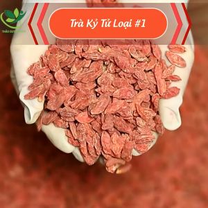 Kỷ Tử Đỏ (Câu Kỉ Tử) 1Kg Sấy Khô Quả To Đỏ Đều Giúp Đẹp Da Bổ Máu Dễ Ngủ Sáng Mắt Tại Thảo Mộc Gama
