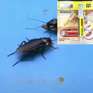 👍10 Years of cockroach-free👍cockroach bait Russian imports cockcroach killer Continuousinfection kills the entire nest Roach Killing Gel for Indoor and Outdoor Use Non-toxic to pet and people strong cockroach killer bait Gel Cockroach Poison