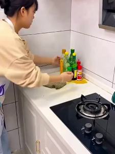 ASCOR | Seasoning Storage Rotatable Triangle Shelf For Kitchen