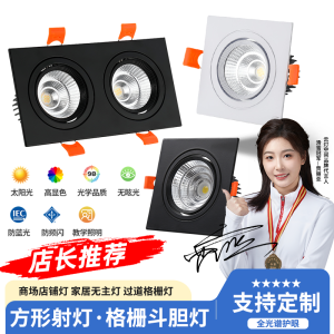 Đèn LED Gắn Trần Hình Chữ Nhật Hai Đầu 16*8cm 20*10cm Đèn Tròn Lỗ Để Đi qua Hành Lang Đèn Trần LED Trang Trí Nhà Cửa