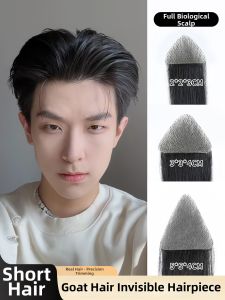 JIANGFASHIJIA | M-Shape Forehead Hair Patch Wig Accessories