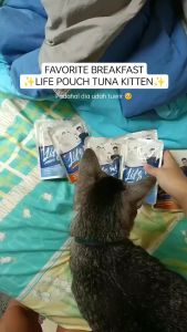 Life Cat Pouch 85gr Makanan Kucing Basah