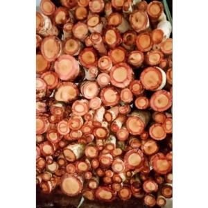 Red Alingatong Herbal Roots 1kg / (LIPA / Alingatong) Traditional Herbal Medicine Alingatong Roots 1kg (