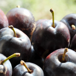 RED PLUMS IMPORTED FROM CHINA - PACK OF 6 - ISTANA ROYAL FRUITS