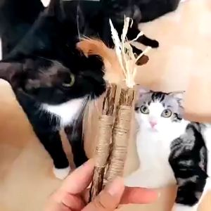 SKISOPGO Cat Teething Stick Kitten Bite Toy Pet Snack Chew Toy Ball Catnip Teeth Cleaning Kucing Mainan Mulut Gigi