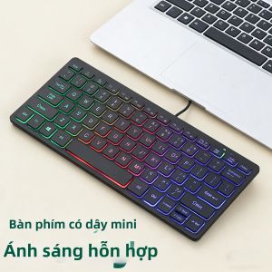 APAYADO | Bàn Phím Mini Có Dây RGB Backlit Mỏng APAYADO K1000 78 Phím Keycap Trong Suốt Yên Tĩnh Di Động Dùng Cho Văn Phòng Có Ngôn Ngữ Tiếng Anh Anh.
