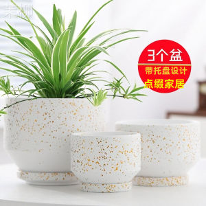 Nordic Style Green Dill and Bracketplant Large Ceramic Flower Pot with Tray Special Offer Big Sale Creative Indoor Desktop Succulent Flower Pot