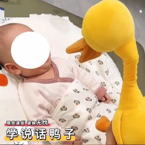 Gà Cưng Nhồi Bông Có Thể Nói Cho Bé Gái Từ 0-3 Tuổi Đồ Chơi Bằng Vải PU Thảm Họa Học Cách Nói Và Nhảy Múa Gà Cưng Dễ Thương