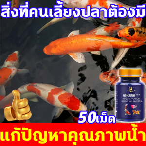 เลี้ยงปลาไม่ต้องเปลี่ยนน้ำอีก จุลินทรีบ่อปลา 1ขวด50เม็ด จุลินทรีตู้ปลา จุลินทรีย์ปรับสภาพน้ำใส ละลายอุจจาระ ดับกลิ่นเหม็น จุลินทรีย์น้ำใสบ่อปลา ทำให้คุณภาพน้ำบริสุทธิ์ จุลินทรีย์นำใส ดูแลสุขภาพปลา ให้น้ำใส จุลินทรีย์บ่อปลา น้ำยาปรับสภาพน้ำ จุรินทรีน้ำใส
