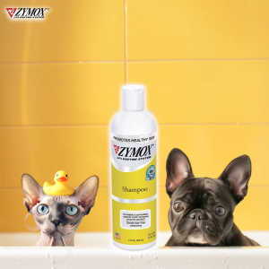 (จัดส่งฟรี) Zymox Shampoo แชมพูอาบน้ำสัตว์เลี้ยง
