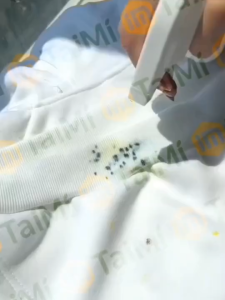 สารล้างรอยยุงน้ำฝน | ยากำจัดเชื้อปราบฟองบนเสื้อผ้า | ขจัดคราบเชื้อปราบฟอง | ยากำจัดเชื้อปราบฟองบนรองเท้า | ยากำจัดรอยยุงน้ำฝนบนเสื้อขาว