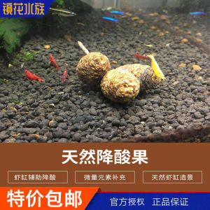 Crystal Shrimp Drop Tart Fruit Lower PH Value Natural Fruit Night Fork Five Accompany Pet Shrimp Cylinder Landscape Supplement Trace Elements