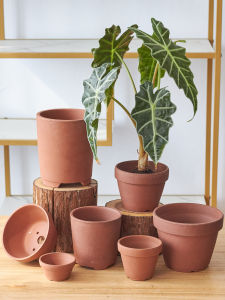 Wimiss Simple Nordic Style Succulent Plant Green Plant Orchid Thick Clay Red Clay Flower Pot for Desktop Balcony Window