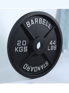 Fitness Weightlifting Barbell Plates Cast Iron Painted Coarse Surface Large Hole Matte Finish Men Women Home Gym Strength Training