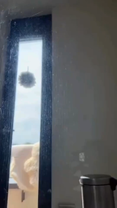 Chai xịt vệ sinh tẩy cặn canxi Bref power 750ml tẩy inox vòi sen vách kính hàng nội địa Đức