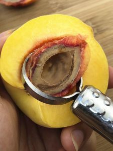 Stainless Steel Peach Kernal Remover Fruit Can Opener  Core Extractor Kitchen Tool for Cooking And Baking