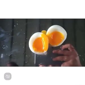 Commercial Stainless Steel Egg Cooker - Large Capacity Adjustable Temperature solf boiled eggs