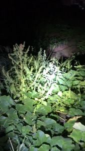 Senter Kepala Led Super Terang Usb Recharge Warna Hitam Anti Air Waterproof Outdoor Jarak Jauh Murah