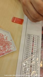 [Mandarin Ducks in Love] Image Size 30x40cm 5D Beautiful Scenery Pond Diamond Painting DIY Kit 钻石画套件 Kit Lukisan Berlian