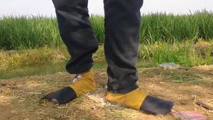 Sepatu Petani Tandur Pelindung Kaki Dari Keong