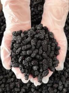 JUHETAI | Top Grade Large Seedless Dried Black Mulberries 500g