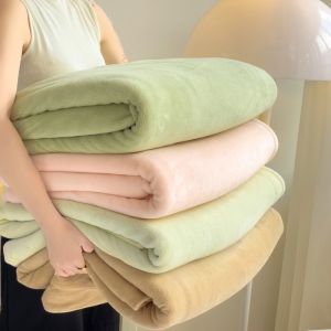 New Winter Thick Fleece Sheet 3 Pieces