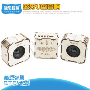 DIY Science Experiment Materials Bluetooth USB Drive Speaker Handmade Technology Small Crafts Creative Invention Educational Toys