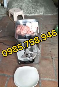 MÁy đùn thịt  đùn xúc xích công suất 850W