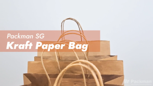 Kraft Paper Bags - Various Sizes - Natural Brown - Paper Handles - Gift Wrapping - Stationery Supplies